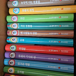 오르다 첫발견 백과사전 +첫발견 프로그램 활동지 step1.2.3