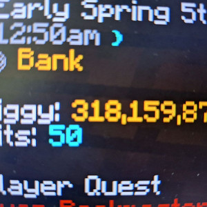 하이픽셀 스카이블럭 코인 중고... | 중고나라 - 안심되는 중고거래