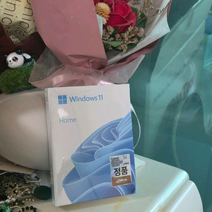 미개봉 윈도우 11 홈/HOME FPP (대원cts)