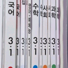 동아전과 3학년1학기 택포
