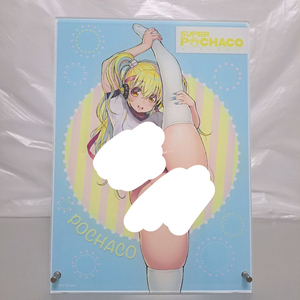 슈퍼 포챠코 무치무치 체육복 체조복 아크릴 패널 스탠드 보드 소니코 이미지