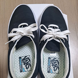 반스 플랫폼 245