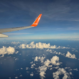 롤 RP 충전식 1:6 구매합니다 이미지