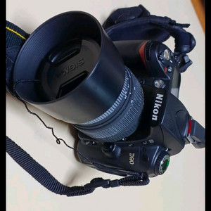 Nikon D90 + Sigma Zoom 28-70mm