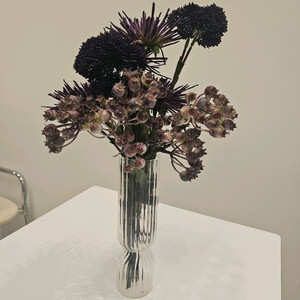 다육식물 세트 조화셋트