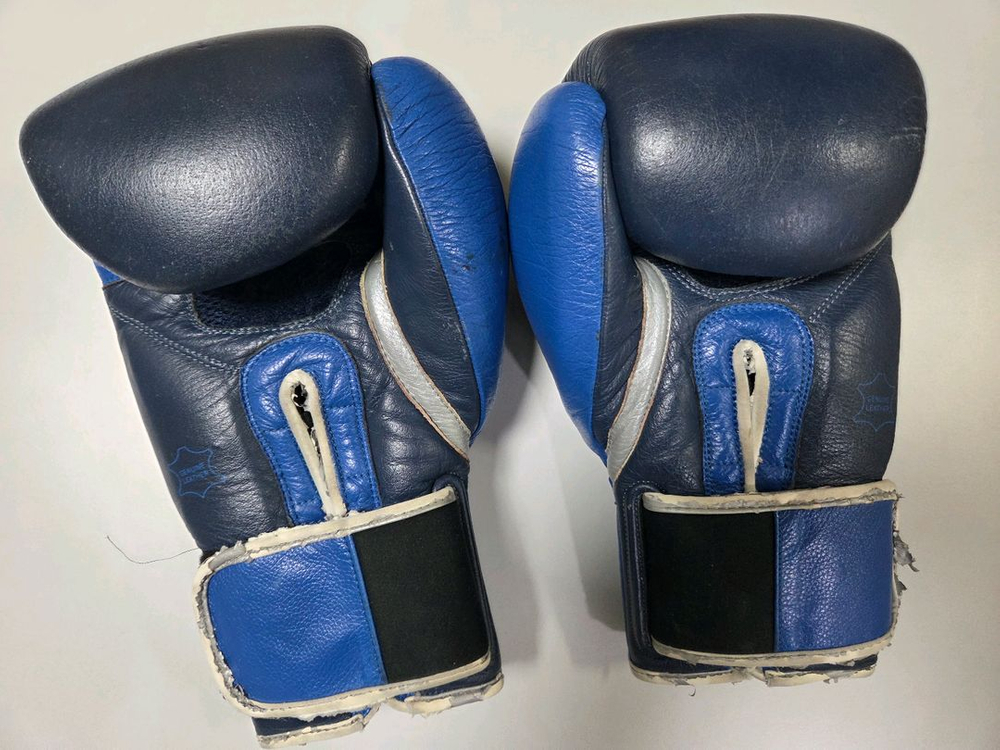 타이틀 로얄티 헤드기어(L), 글러브(16oz) 팝니다. 이미지