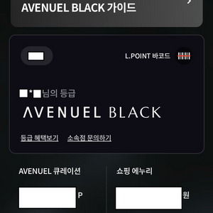 롯데백화점 애비뉴엘 블랙 등급 주차권