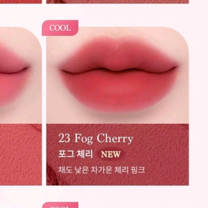 [새상품] 데이지크 수플레 컬러 팟 23 포그 체리
