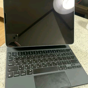 아이패드 에어 4세대 256 블루