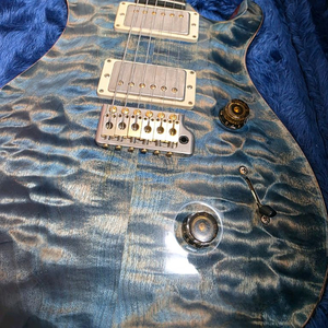 일렉기타 PRS 우드라이브러리 woodlibrary cu24 이미지