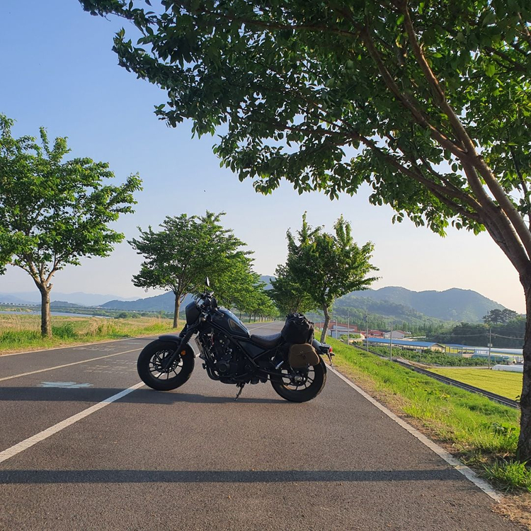 혼다 레블500 20년식 판매 이미지