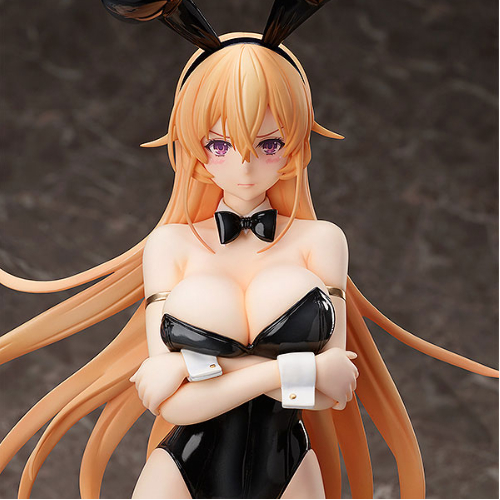 프링 1/4 식극의 소마 에리나 바니걸 미개봉 + 초마신 류진마루 부분 도색완성작 포함 총6종--1