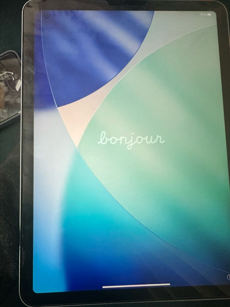 아이패드 에어4 wifi 64gb--3