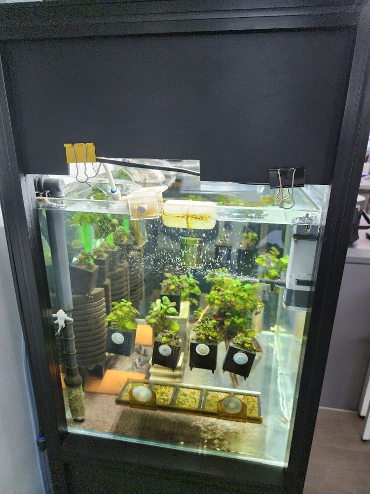 2자 2단 축양장 풀셋 판매합니다~--1