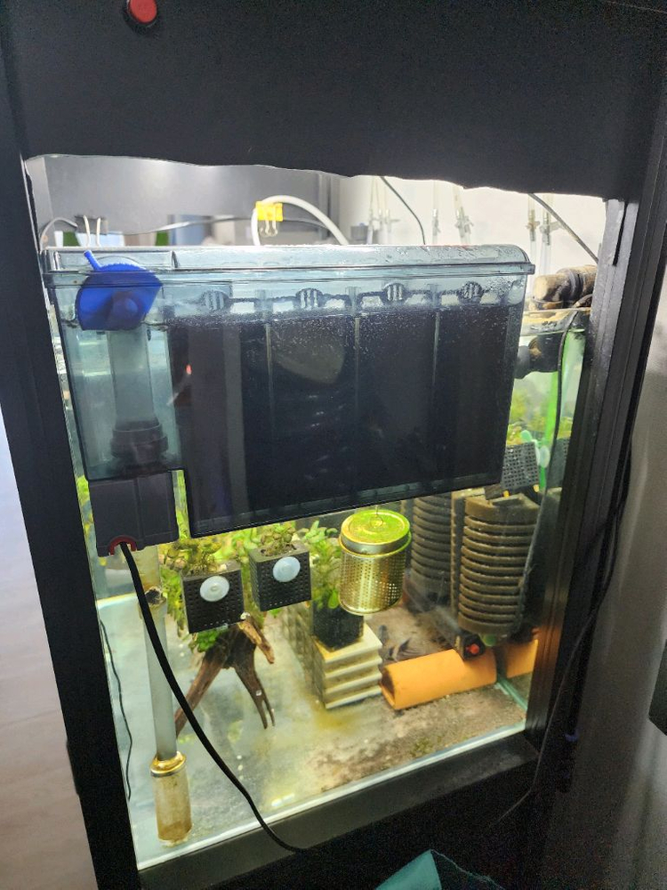 2자 2단 축양장 풀셋 판매합니다~--2