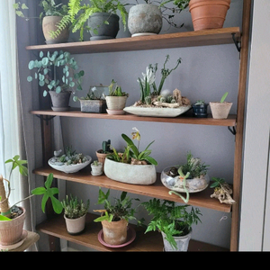 작은언니네가구