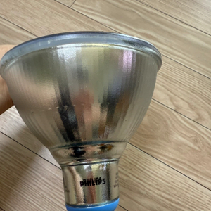 필립스 PAR38 LED 성장등