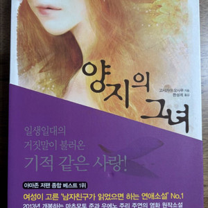 일본도서 양지의 그녀 (아라시 마츠모토 준, 우에노 쥬리 주연 영화 원작 소설) 이미지