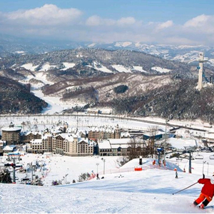 알펜시아 스키 보드 리프트권+장비렌탈권 양도