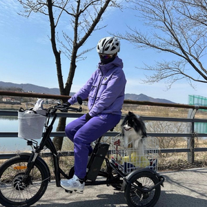 (전기자전거) 삼천리 팬텀 E 로드스타