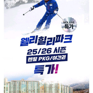 웰리힐리 스키 보드 리프트권+장비렌탈권 4시간 양도