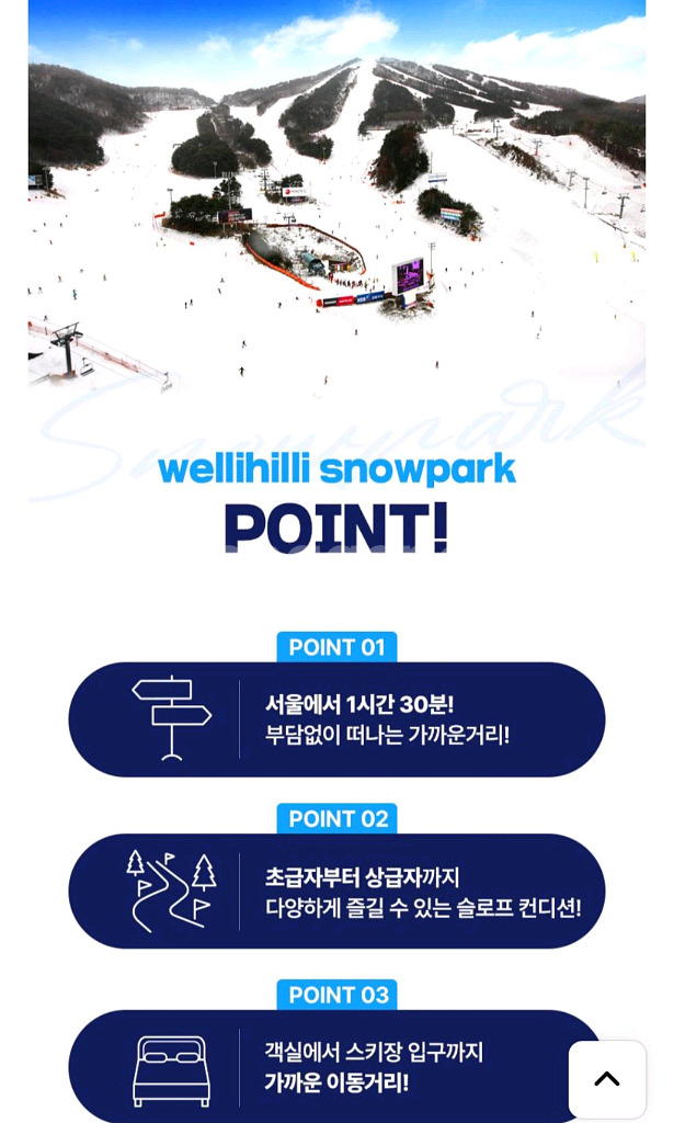 웰리힐리 스키 보드 리프트권+장비렌탈권 4시간 양도--2