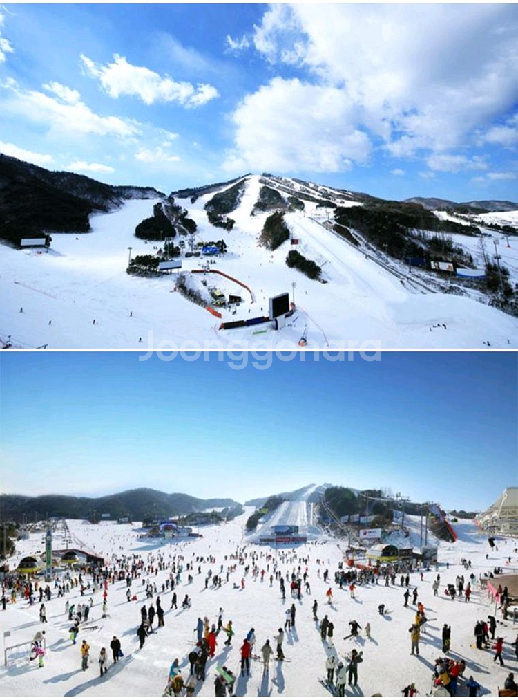 웰리힐리 스키 보드 리프트권+장비렌탈권 4시간 양도--3