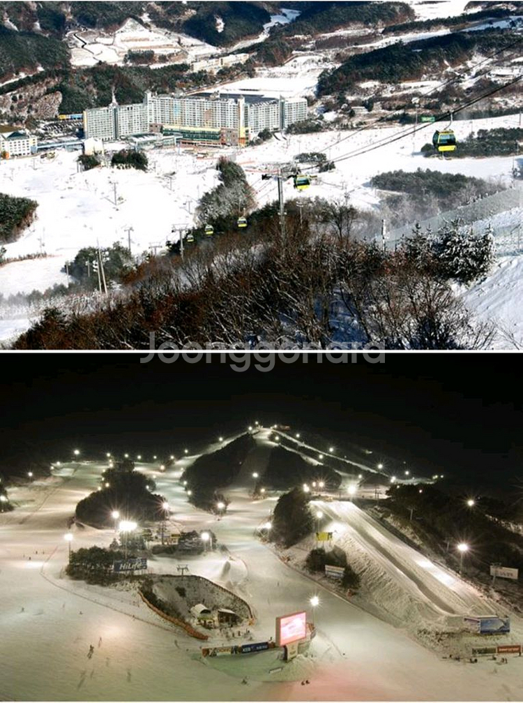 웰리힐리 스키 보드 리프트권+장비렌탈권 4시간 양도--4