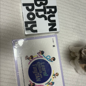 bts 방탄소년단 굿즈 하이브 달려라방탄포토북 run bts poly, learn korean with tinyta 이미지