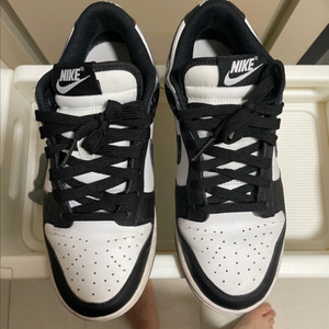 나이키 덩크 로우 여자신발 240 이미지