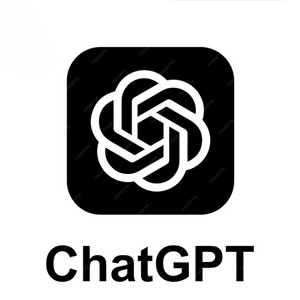 챗GPT Go 1년 플랜 퍼플렉시티 PRO 1년 플랜 두가지 1년