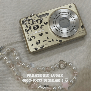 파나소닉 루믹스 DMC-FX77 빈티지 디카 골드 레오파드 커스텀