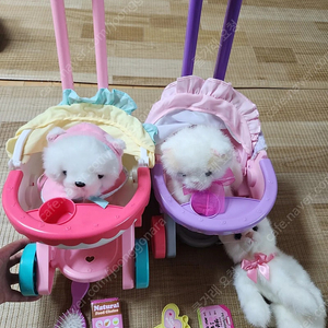 아기 고양이 냥이, 아기 강아지 포미 유모차 장난감 인형 이미지