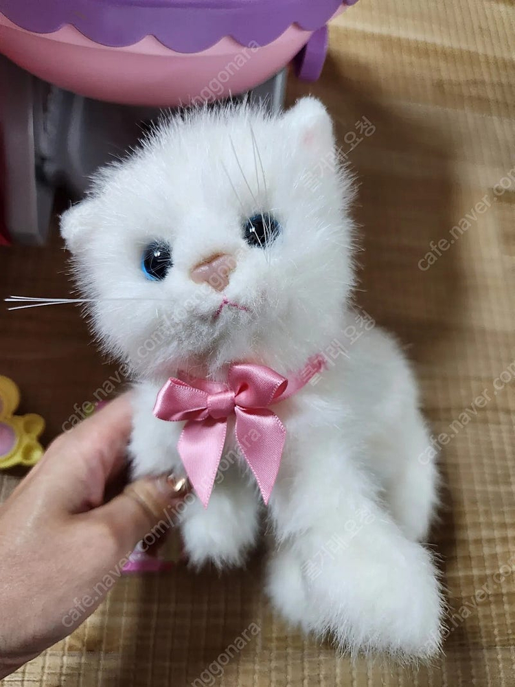 아기 고양이 냥이, 아기 강아지 포미 유모차 장난감 인형 이미지
