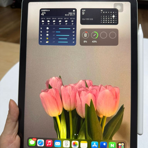 아이패드 에어 4세대 64GB 셀룰러 입니다. 그린입니다.