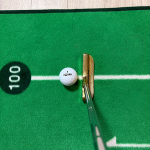 타이틀리스트 아쿠쉬넷 불스아이 황동퍼터 34인치