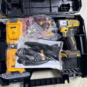 디월트 20V 충전 임팩 드라이버 DCF850P2 세트