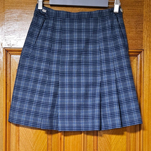 교복 치마