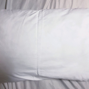 OEKO-TEX 호텔 베개 배개솜
