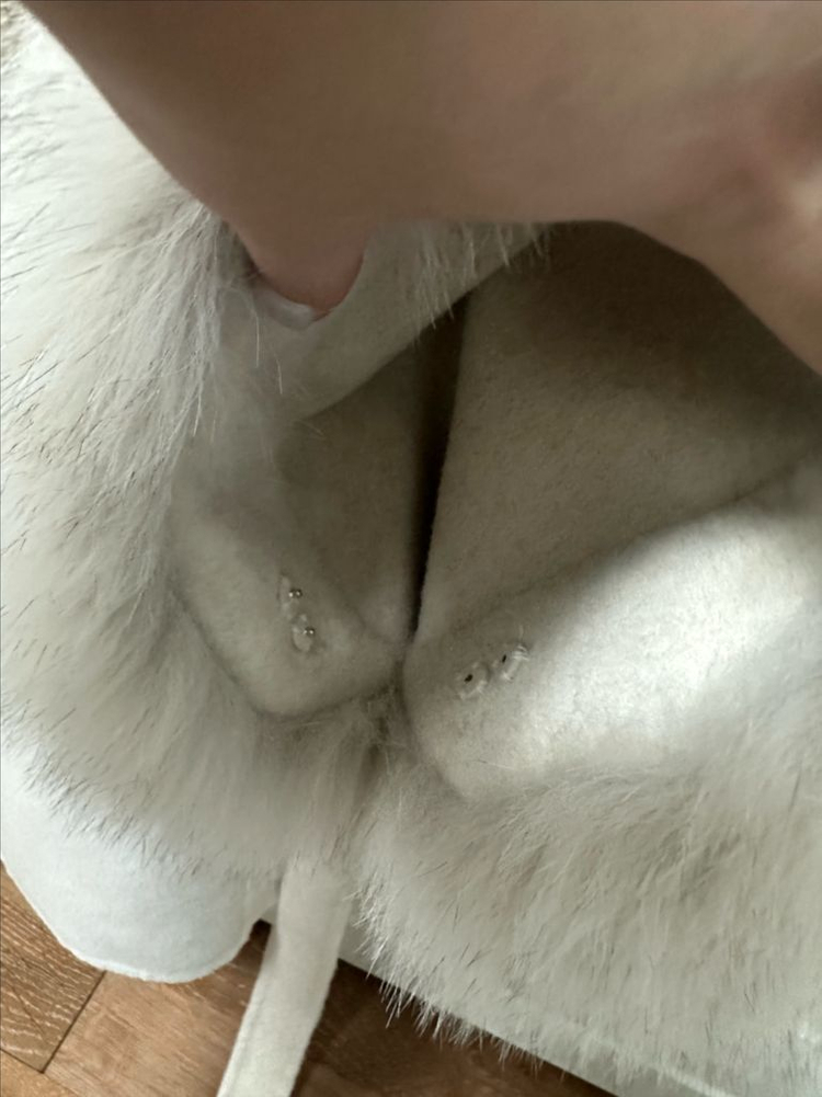 문트 케이프 폭스코트 정가 49--3