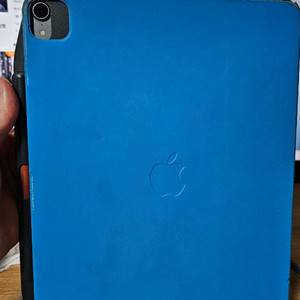 아이패드프로 3세대 12.9 256GB 셀룰러 +미개봉케이스