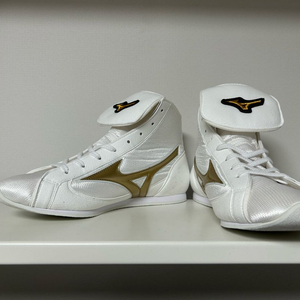 미즈노 이지 스펙트라 복싱화 265 화이트골드 팝니다 이미지