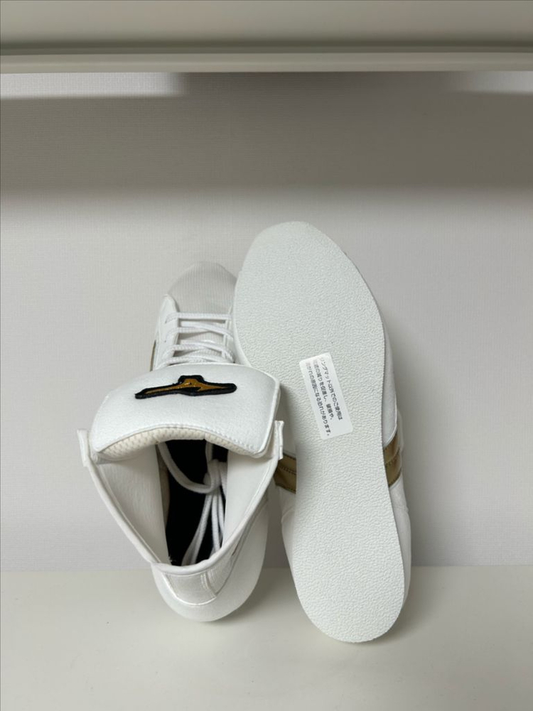 미즈노 이지 스펙트라 복싱화 265 화이트골드 팝니다 이미지