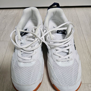 프로스팩스 배드민턴화