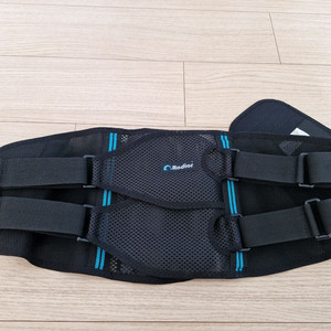 라디올 허리보호대 의료용 디스크 지지대 허리 복대 척추 요추 밴드