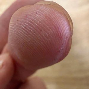 m4 pro 맥북프로 14인치 14c20gpu48램1테라 삽니다 이미지