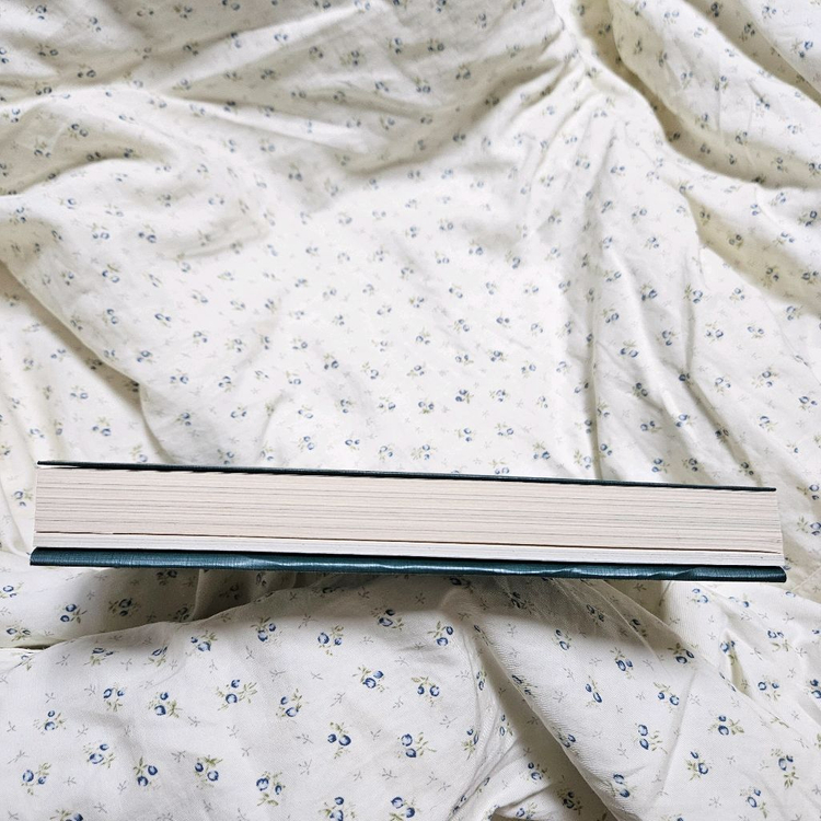 조국 가불선진국 책 독서 도서--3