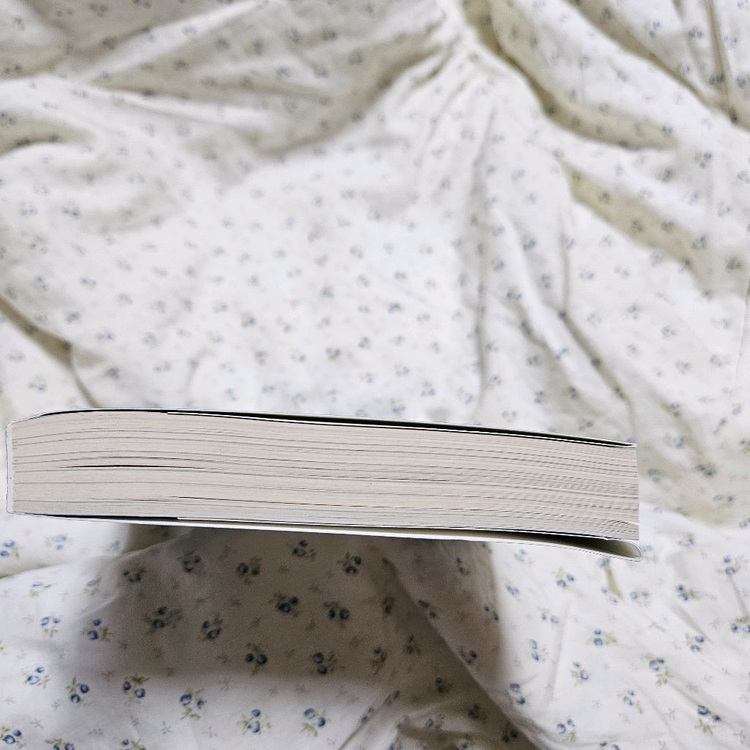 조국 가불선진국 책 독서 도서--4