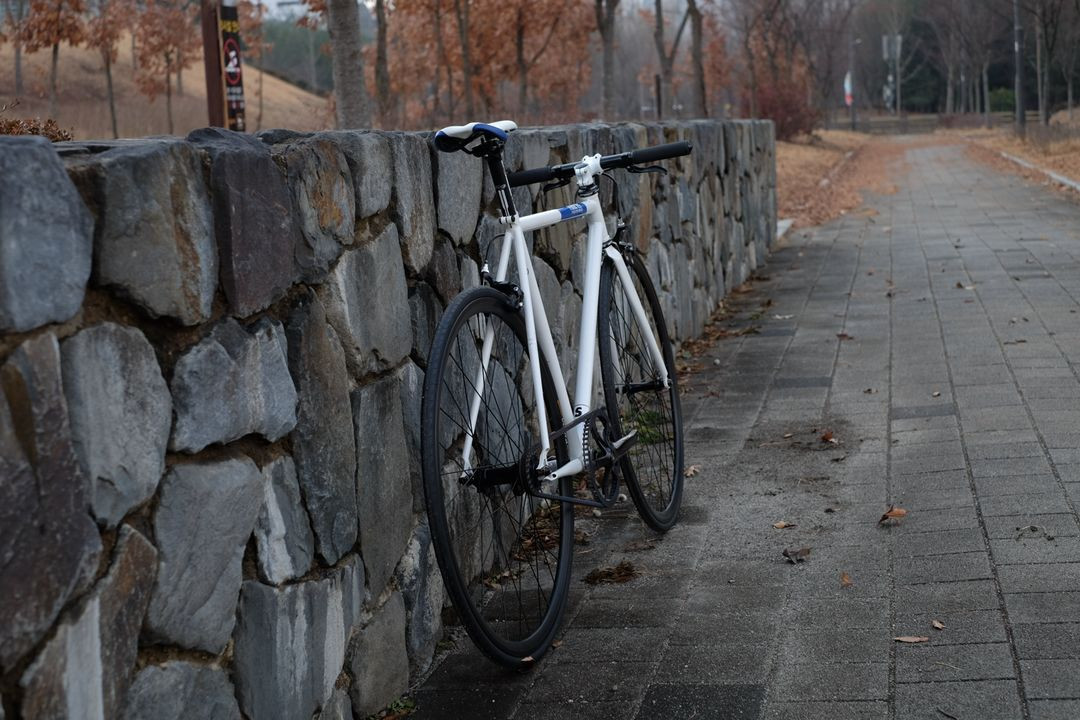 Fixie INC. Peace Maker Gates 카본 벨트 드라이브 픽시 / 싱글 스피드 자전거 S 사이즈--8