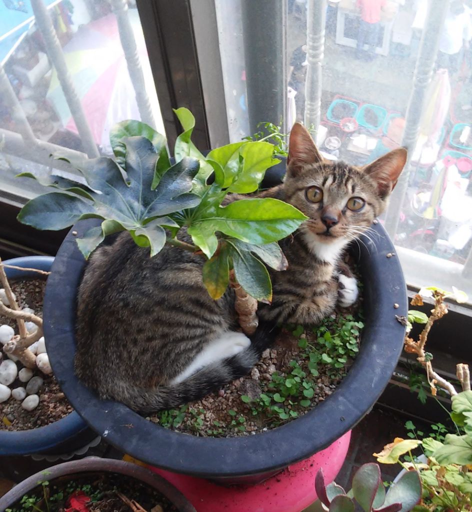 프로필 이미지